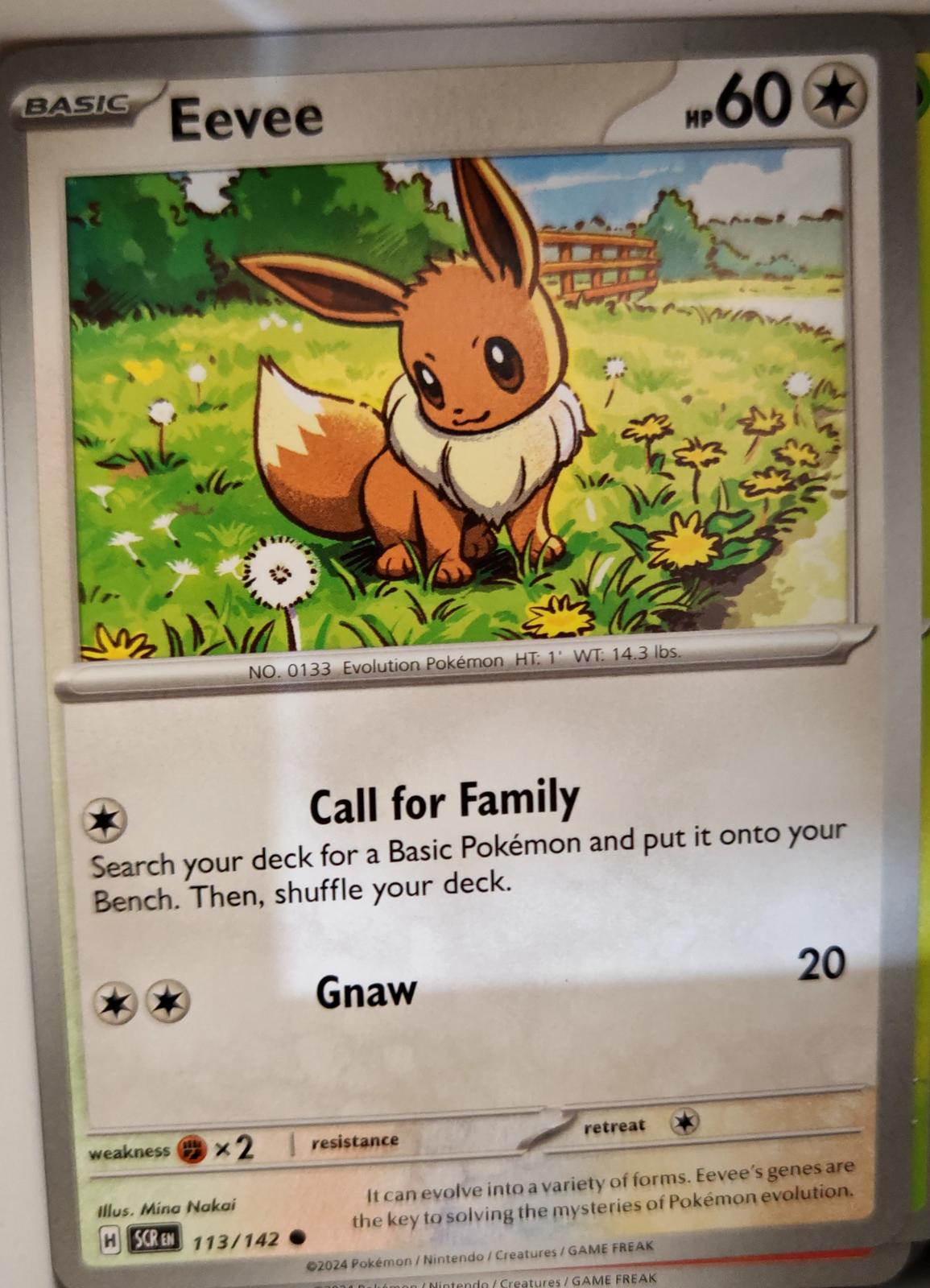 Eevee - 113/142 - - STELLAR CROWN - Pokemon - Common | AA05-70