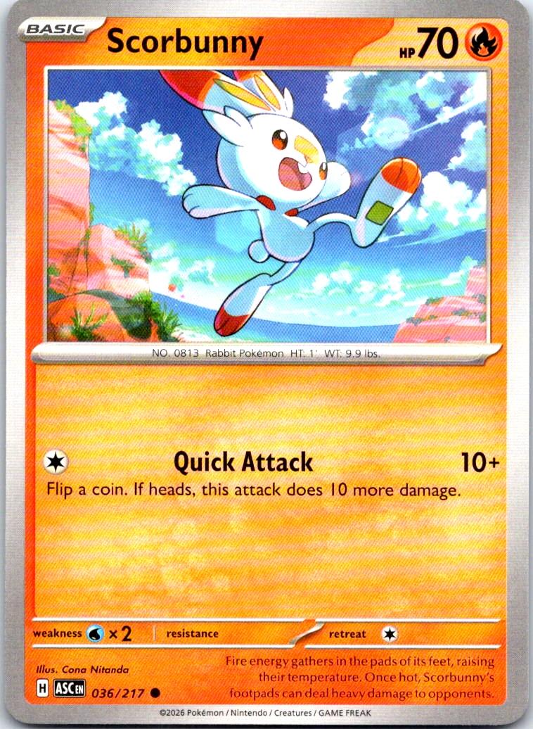 Scorbunny - 036/217 - - ASCENDED HEROES - Pokemon - Common | AB43-48