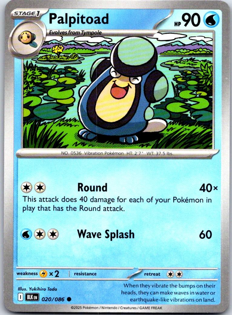 Palpitoad - 020/086 - - BLACK BOLT - Pokemon - Common | AA112-43