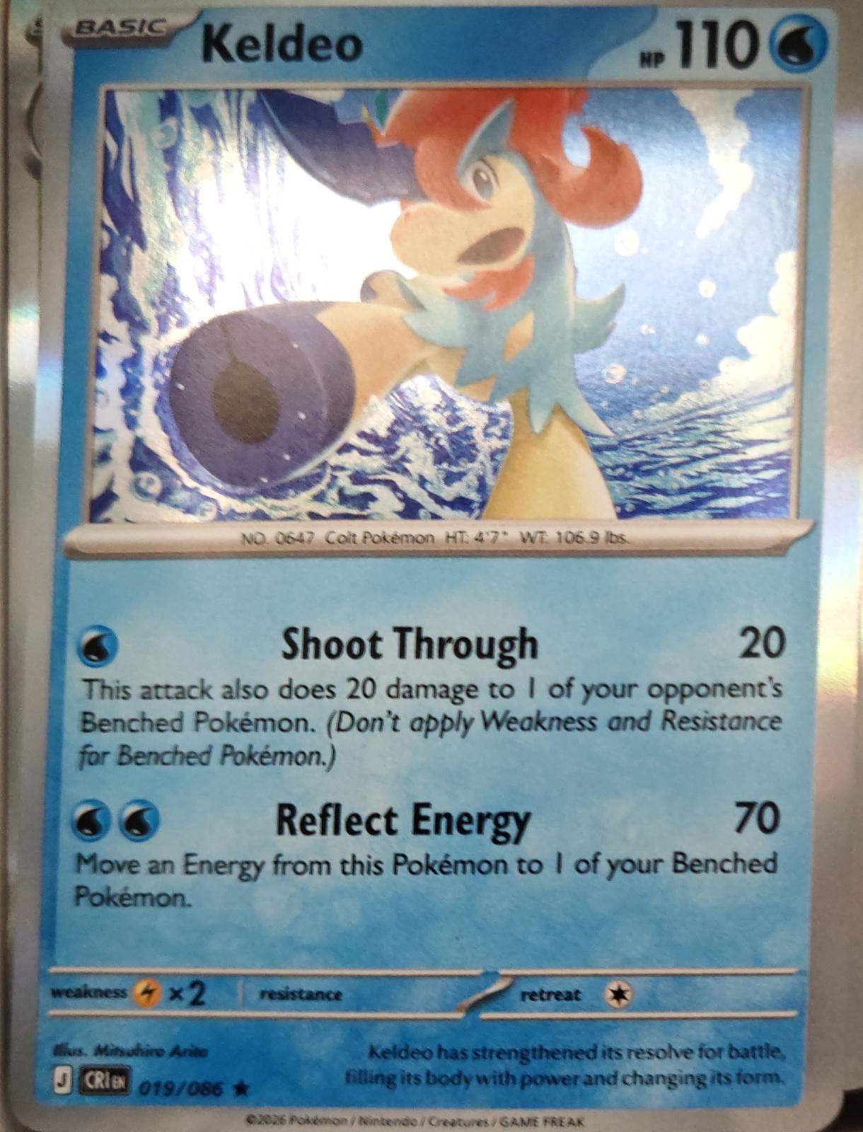 Keldeo - 019/086 - Holo - CHAOS RISING - Pokemon - Rare | AA13-57