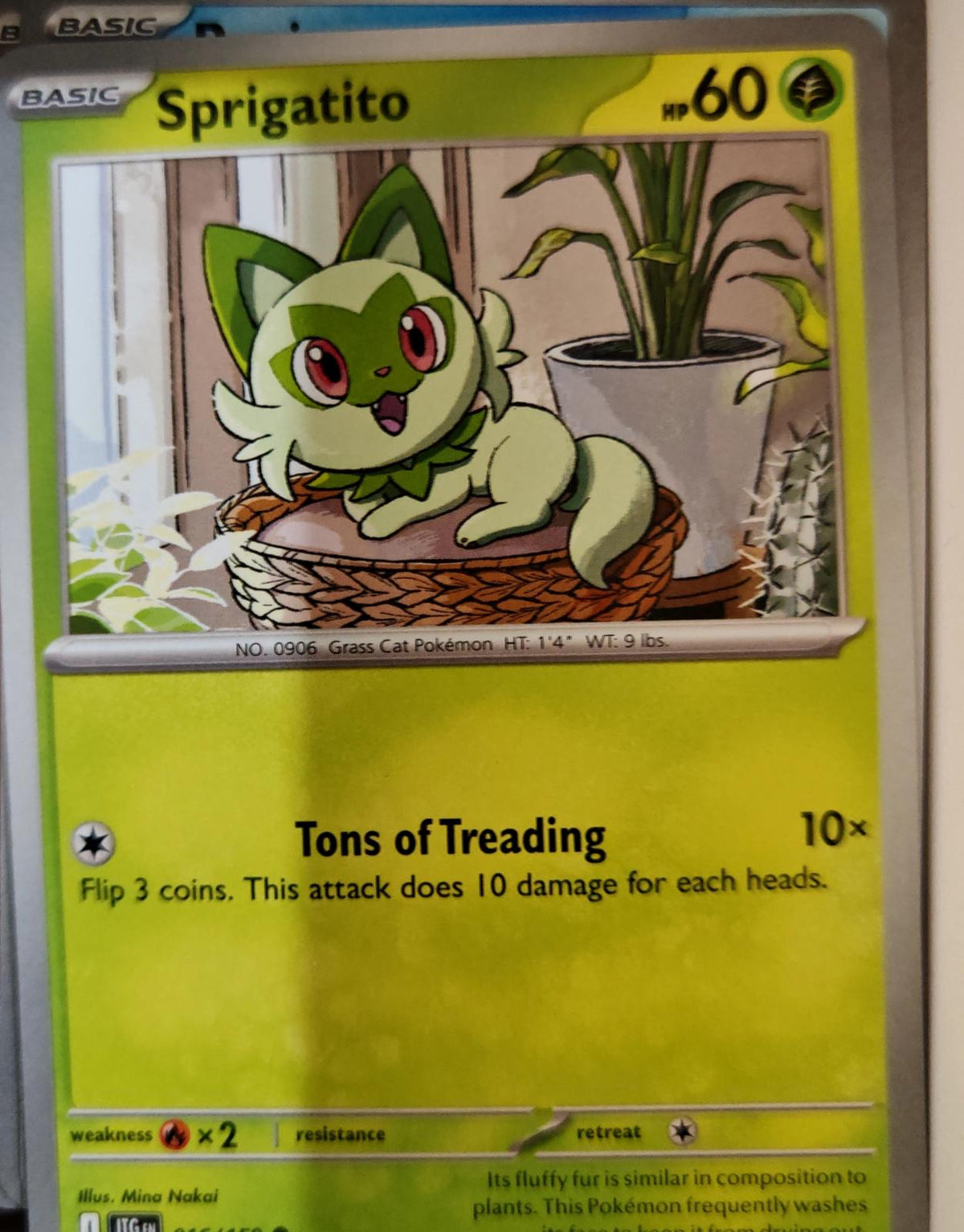 Sprigatito - 016/159 - - JOURNEY TOGETHER - Pokemon - Common | AA07-83