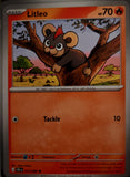 Litleo - 014/086 - - CHAOS RISING - Pokemon - Common | AA43-24