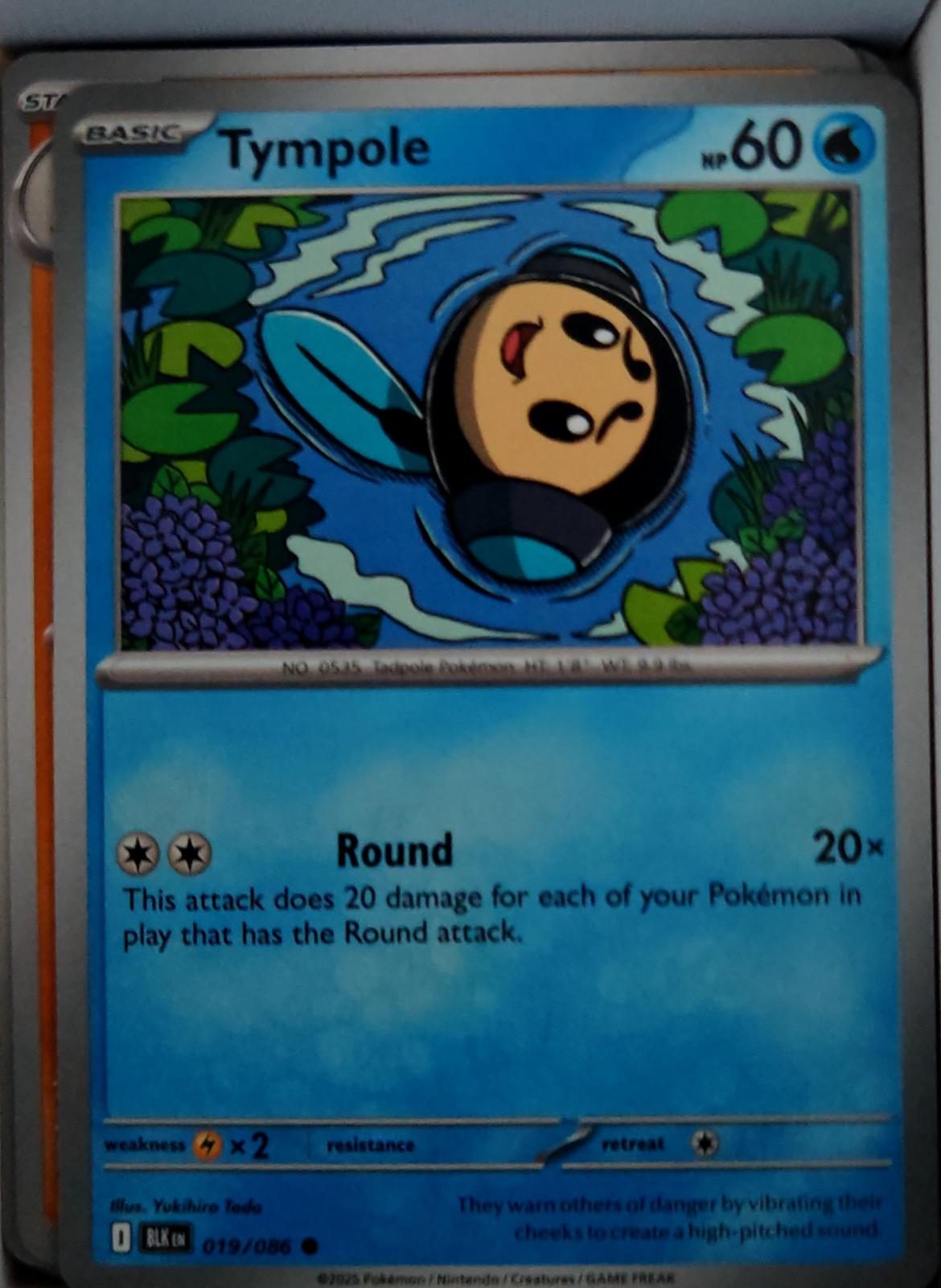 Tympole - 019/086 - - BLACK BOLT - Pokemon - Common | AA46-21