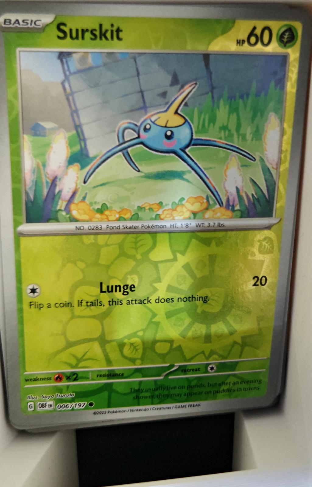 Surskit - 006/197 - Reverse Holo - OBSIDIAN FLAMES - Pokemon - Common | AA18-70