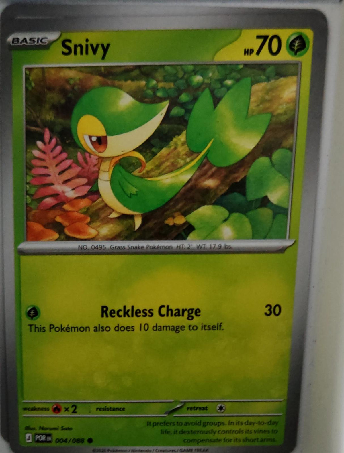 Snivy - 004/088 - - PERFECT ORDER - Pokemon - Common | AA39-2