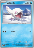 Cetoddle - 058/198 - Reverse Holo - SCARLET & VIOLET - Pokemon - | AA49-41