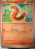 Sizzlipede - 036/162 - - TEMPORAL FORCES - Pokemon - Common | AA22-88