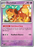 Dachsbun - 039/091 - - PALDEAN FATES - Pokemon - Uncommon | AA48-125