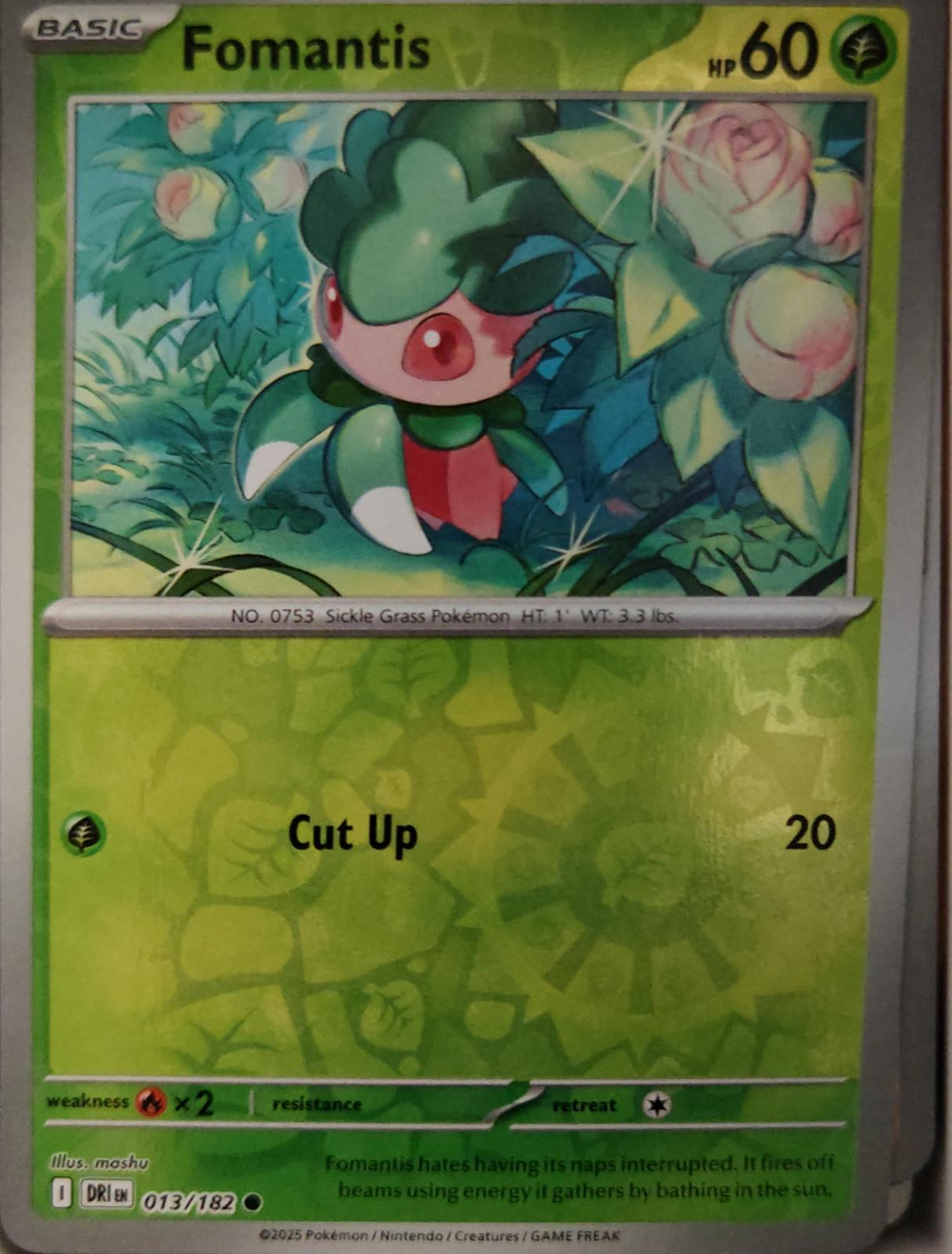 Fomantis - 013/182 - Reverse Holo - DESTINED RIVALS - Pokemon - Common | AA24-31