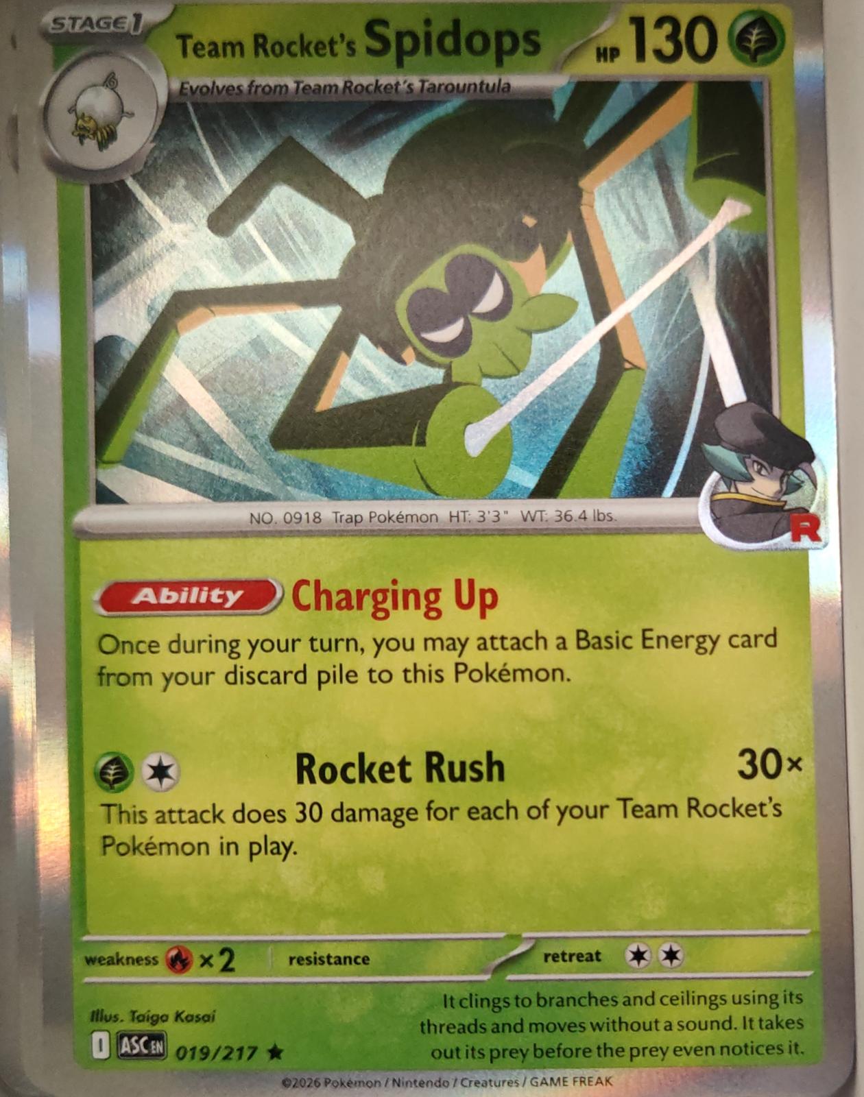 Team Rocket's Spidops - 019/217 - Holo - ASCENDED HEROES - Pokemon - | AA13-25
