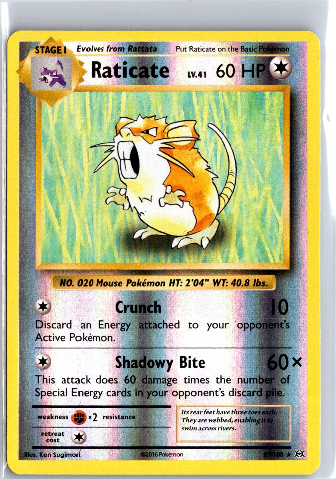 Raticate - 67/108 - Reverse Holo - EVOLUTIONS - Pokemon - Rare | AA130-13