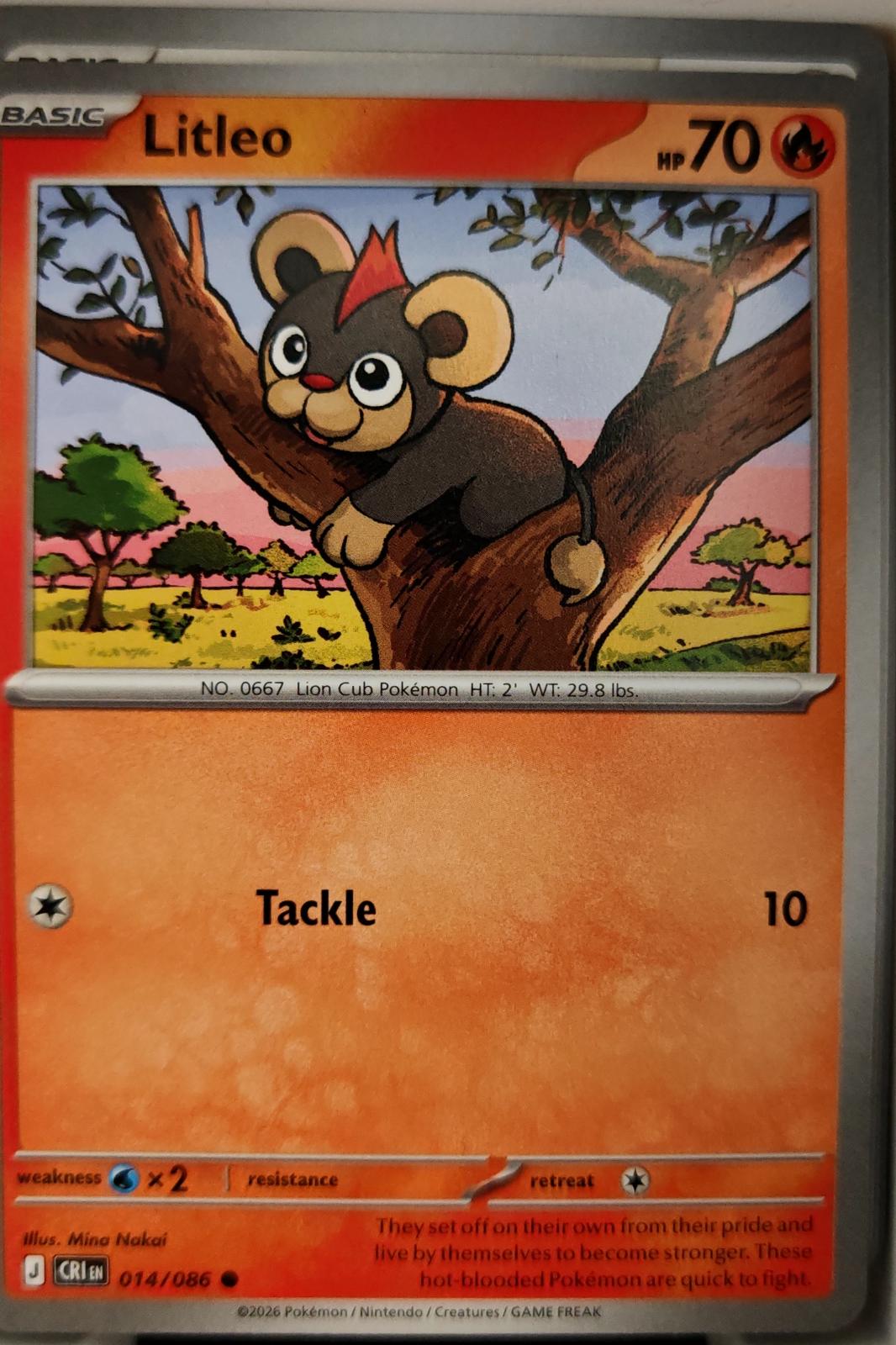 Litleo - 014/086 - - CHAOS RISING - Pokemon - Common | AA08-61