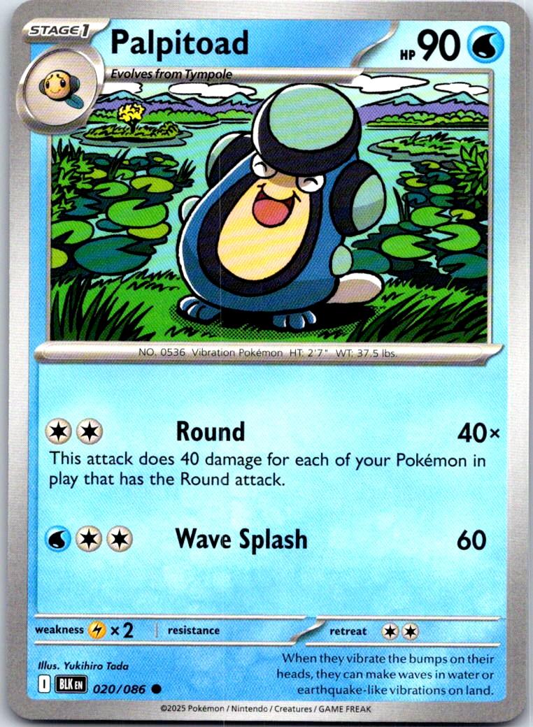 Palpitoad - 020/086 - - BLACK BOLT - Pokemon - Common | AA109-30