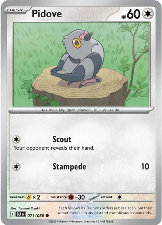Pidove - 071/086 - - BLACK BOLT - Pokemon - Common | AA47-59