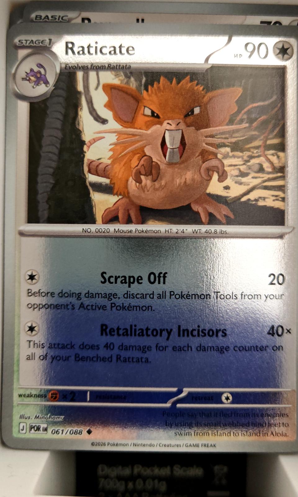 Raticate - 061/088 - Reverse Holo - PERFECT ORDER - Pokemon - Uncommon | AA04-98