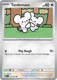 Tandemaus - 157/191 - - SURGING SPARKS - Pokemon - Common | AA48-5