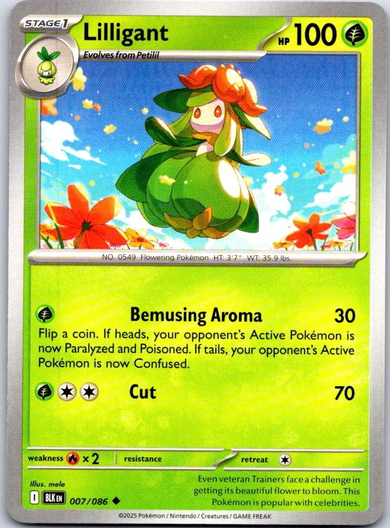 Lilligant - 007/086 - - BLACK BOLT - Pokemon - Uncommon | AA106-20