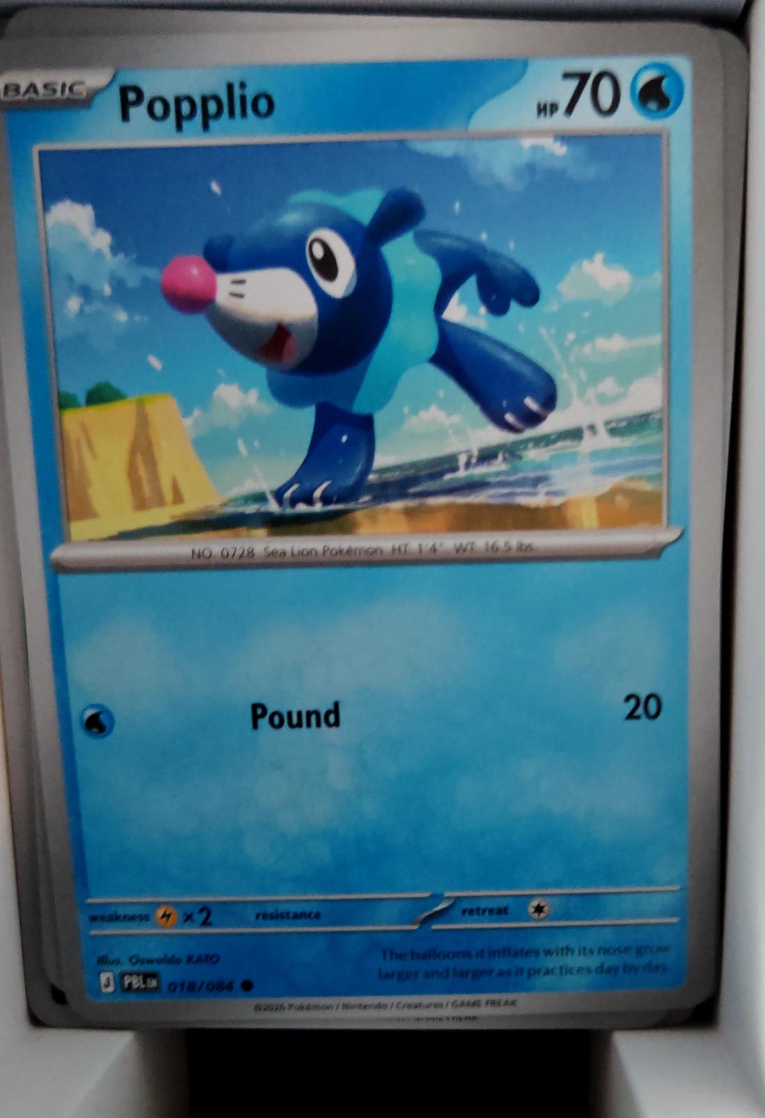 Popplio - 018/084 - - PITCH BLACK - Pokemon - Common | AA39-79