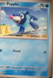 Popplio - 018/084 - - PITCH BLACK - Pokemon - Common | AA32-77