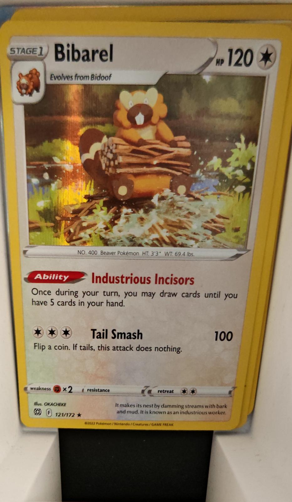 Bibarel - 121/172 - Holo - BRILLIANT STARS - Pokemon - Rare | AA21-8
