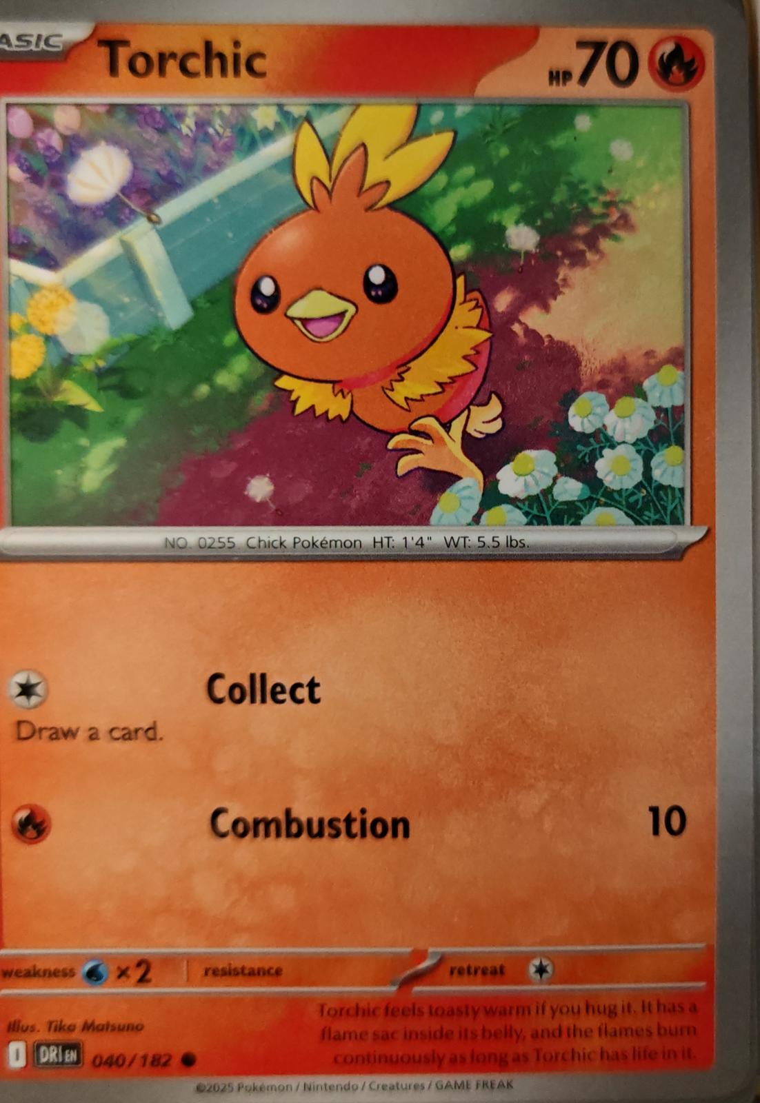 Torchic - 040/182 - - DESTINED RIVALS - Pokemon - Common | AA23-62