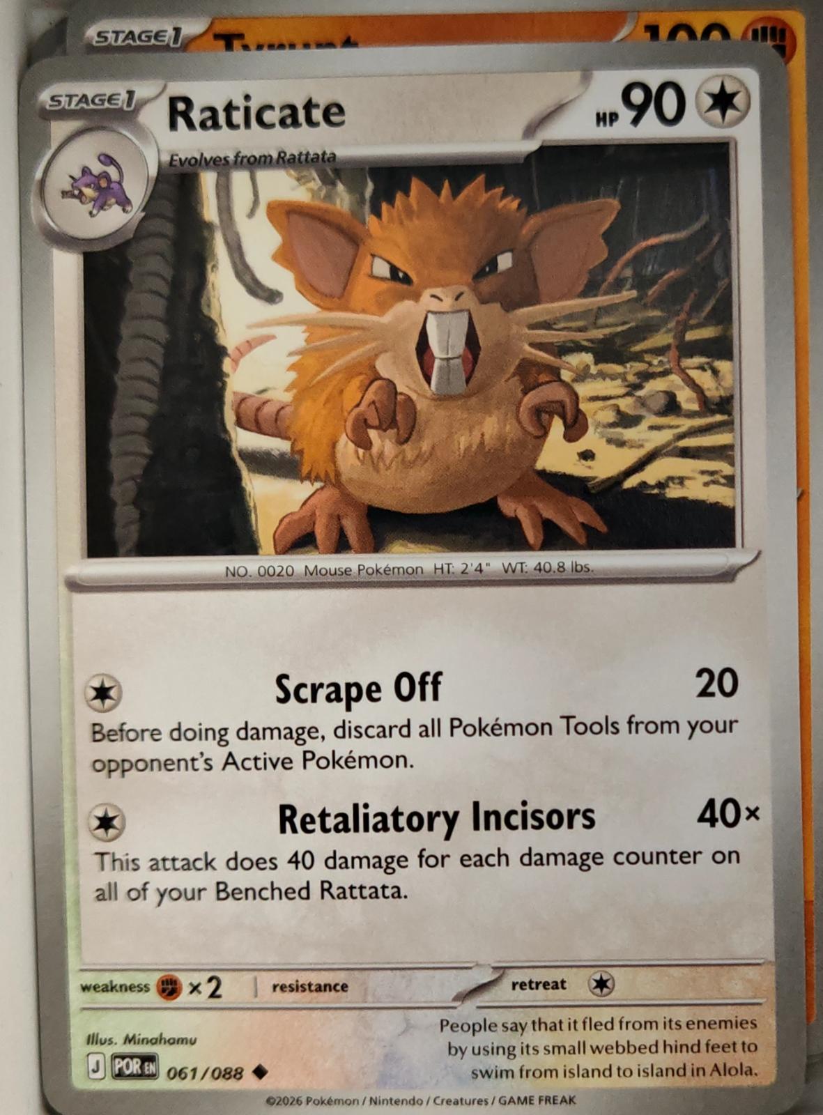 Raticate - 061/088 - - PERFECT ORDER - Pokemon - Uncommon | AA11-16
