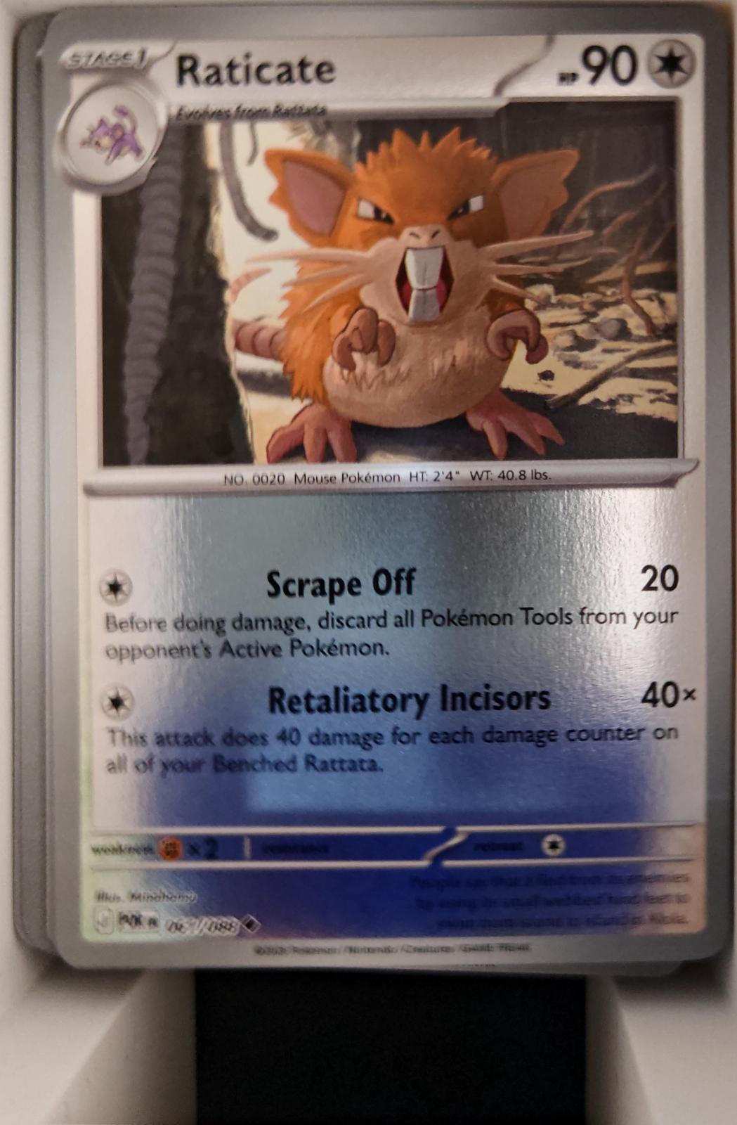 Raticate - 061/088 - Reverse Holo - PERFECT ORDER - Pokemon - Uncommon | AA18-88
