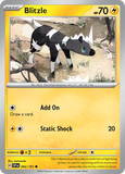 Blitzle - 062/191 - - SURGING SPARKS - Pokemon - Common | AA48-47