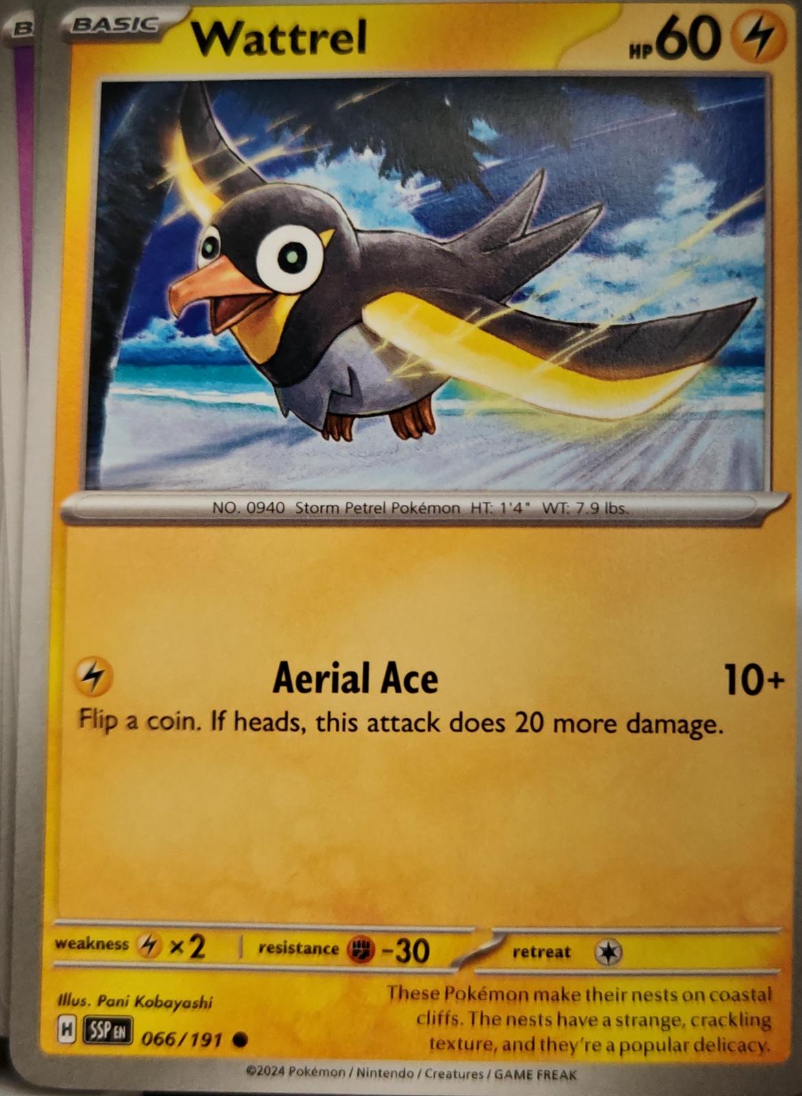 Wattrel - 066/191 - - SURGING SPARKS - Pokemon - Common | AA09-43