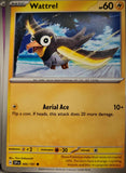 Wattrel - 066/191 - - SURGING SPARKS - Pokemon - Common | AA09-43