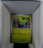 Lotad - 005/094 - - PHANTASMAL FLAMES - Pokemon - Common | AA54-33