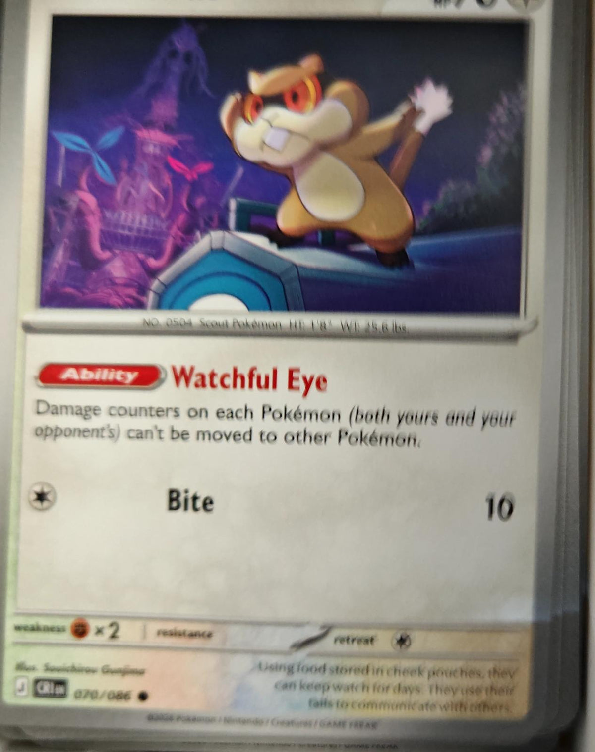 Patrat - 070/086 - - CHAOS RISING - Pokemon - Common | AA22-99