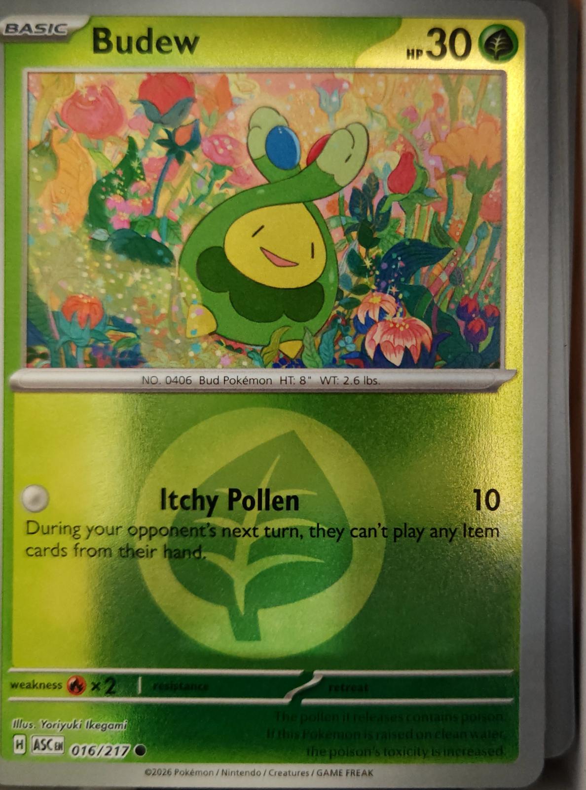 Budew (Energy Symbol Pattern) - 016/217 - Reverse Holo - ASCENDED HEROES - Pokemon - | AA19-87