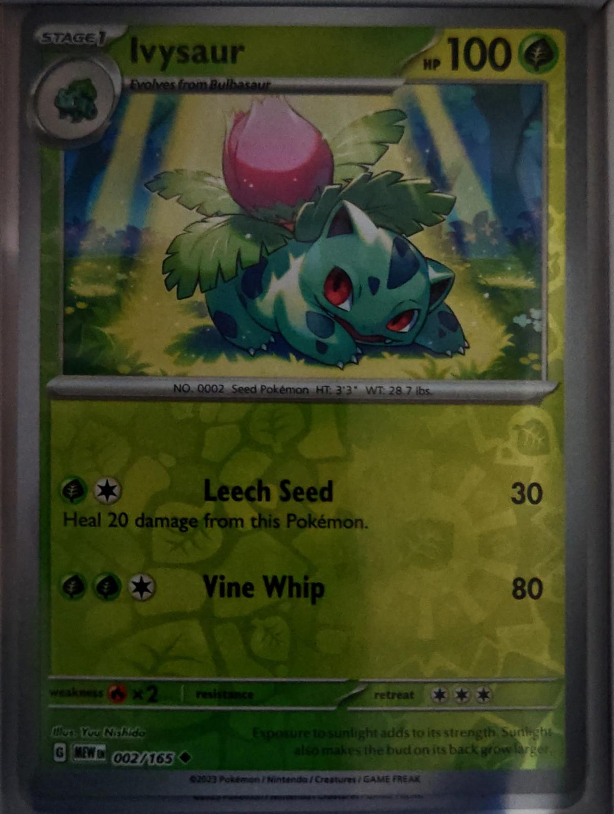 Ivysaur - 002/165 - Reverse Holo - 151 - Pokemon - Uncommon | AA61-24