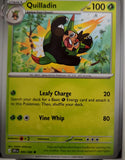 Quilladin - 006/086 - - CHAOS RISING - Pokemon - Common | AA45-81