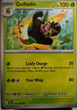 Quilladin - 006/086 - - CHAOS RISING - Pokemon - Common | AA45-100