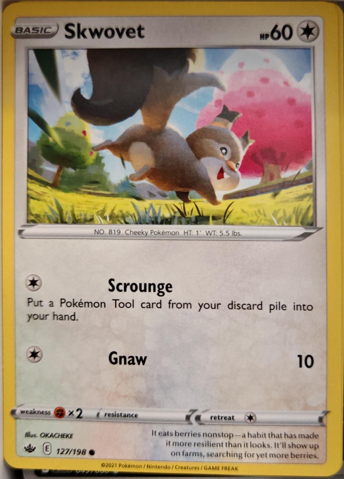 Skwovet - 127/198 - - CHILLING REIGN - Pokemon - Common | AA03-63