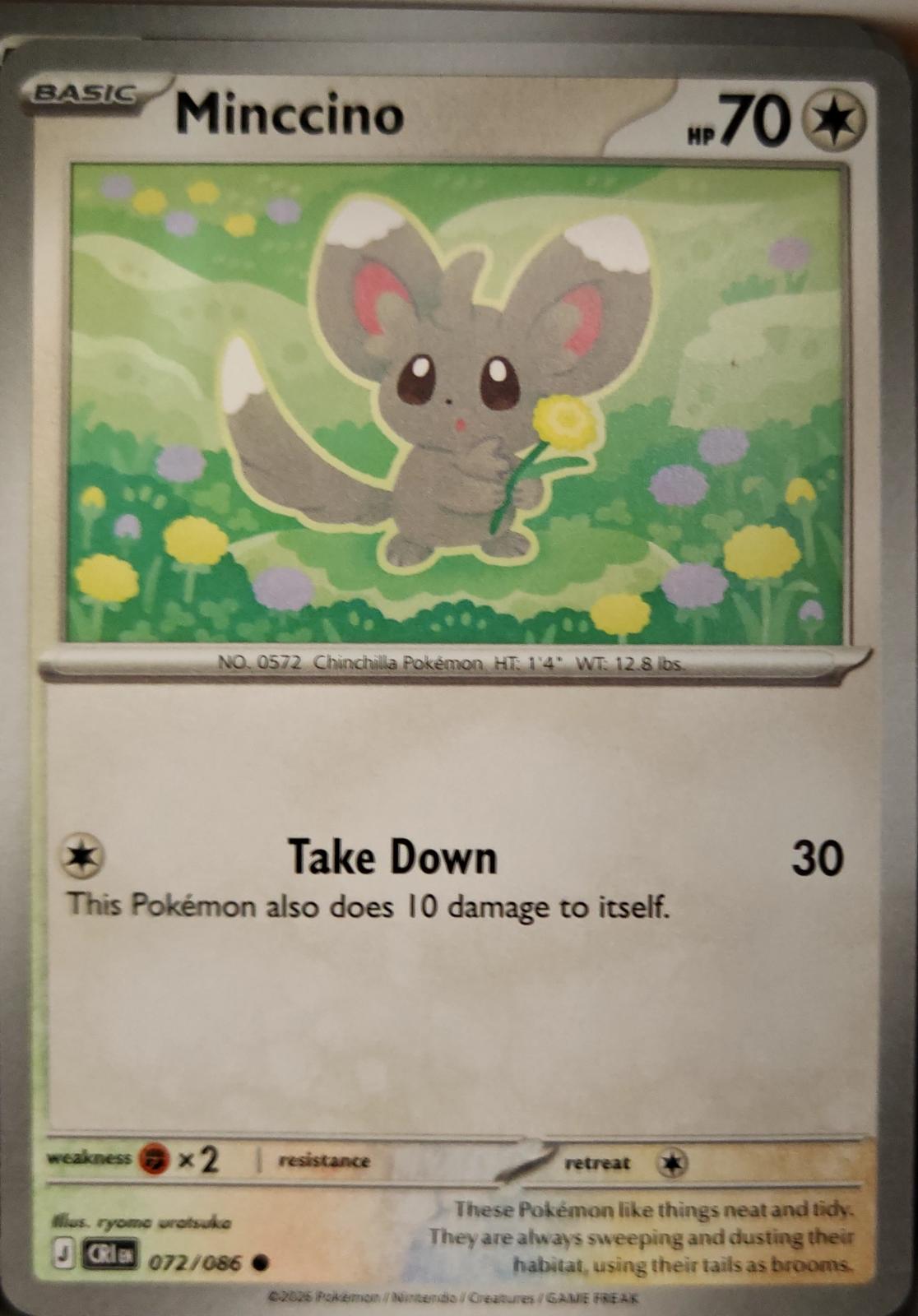 Minccino - 072/086 - - CHAOS RISING - Pokemon - Common | AA09-57