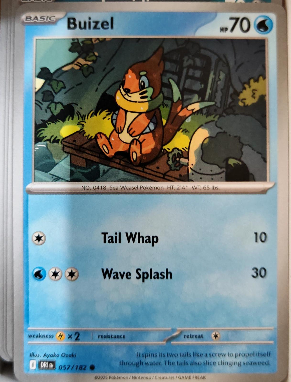 Buizel - 057/182 - - DESTINED RIVALS - Pokemon - Common | AA07-58