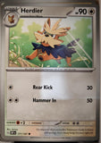 Herdier - 171/197 - - OBSIDIAN FLAMES - Pokemon - Common | AA05-55