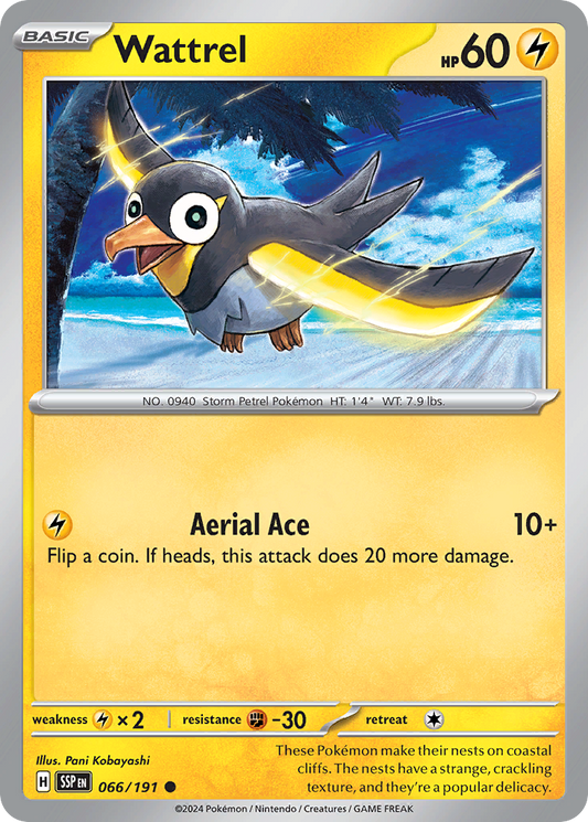 Wattrel - 066/191 - - SURGING SPARKS - Pokemon - Common | AA48-44