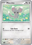 Minccino - 072/086 - - CHAOS RISING - Pokemon - Common | AA42-47