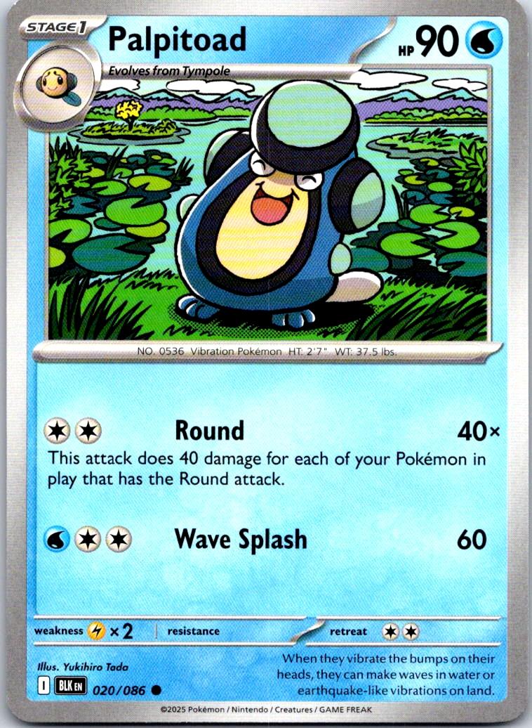 Palpitoad - 020/086 - - BLACK BOLT - Pokemon - Common | AA107-35