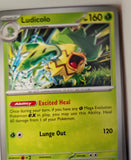 Ludicolo - 007/094 - - PHANTASMAL FLAMES - Pokemon - Uncommon | AA27-90