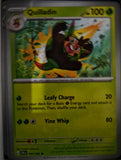 Quilladin - 006/086 - - CHAOS RISING - Pokemon - Common | AA65-45