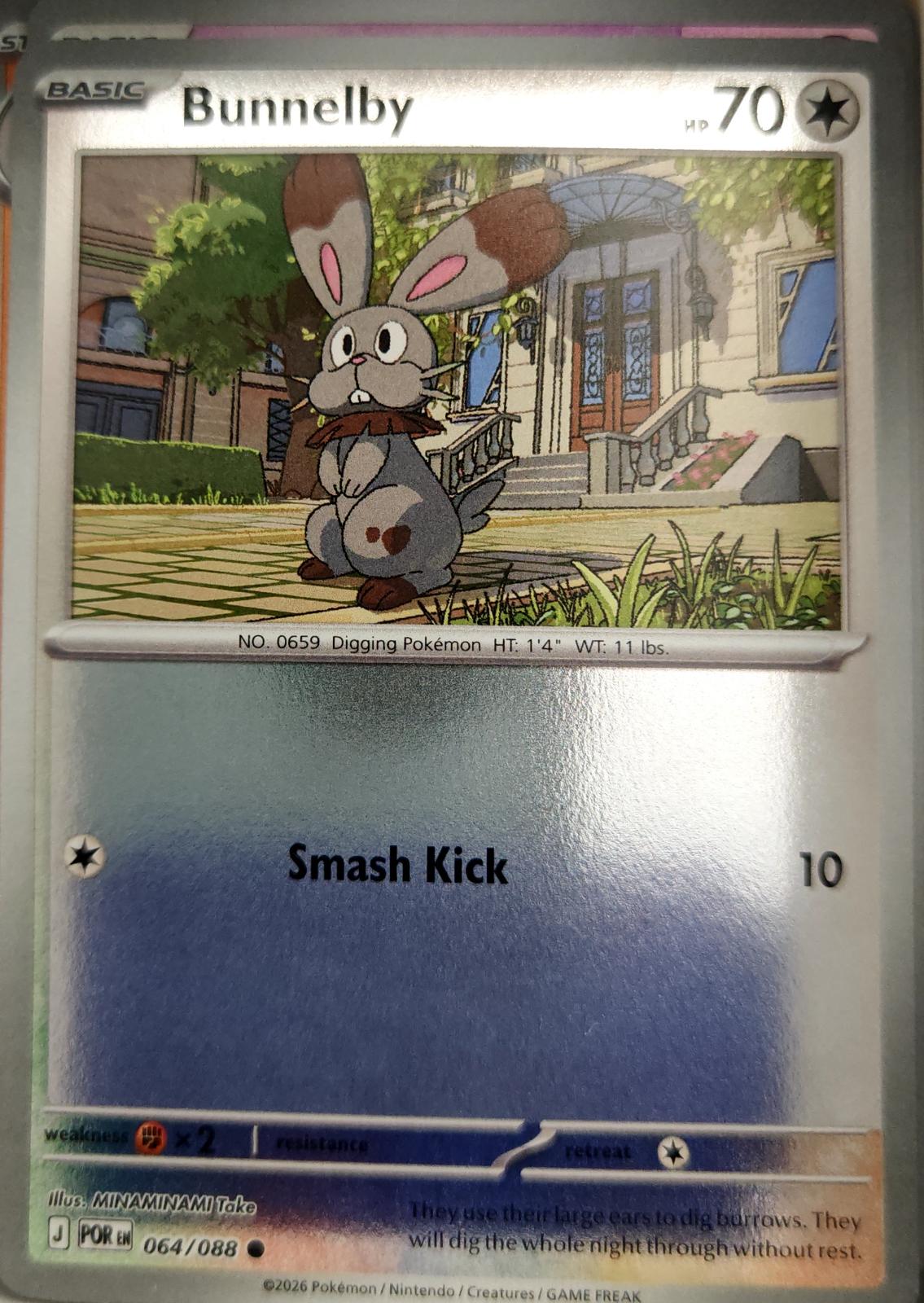 Bunnelby - 064/088 - Reverse Holo - PERFECT ORDER - Pokemon - Common | AA04-97