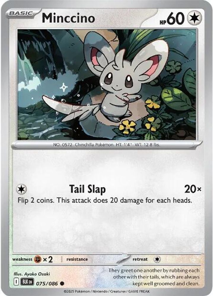 Minccino - 075/086 - - BLACK BOLT - Pokemon - Common | AA47-55