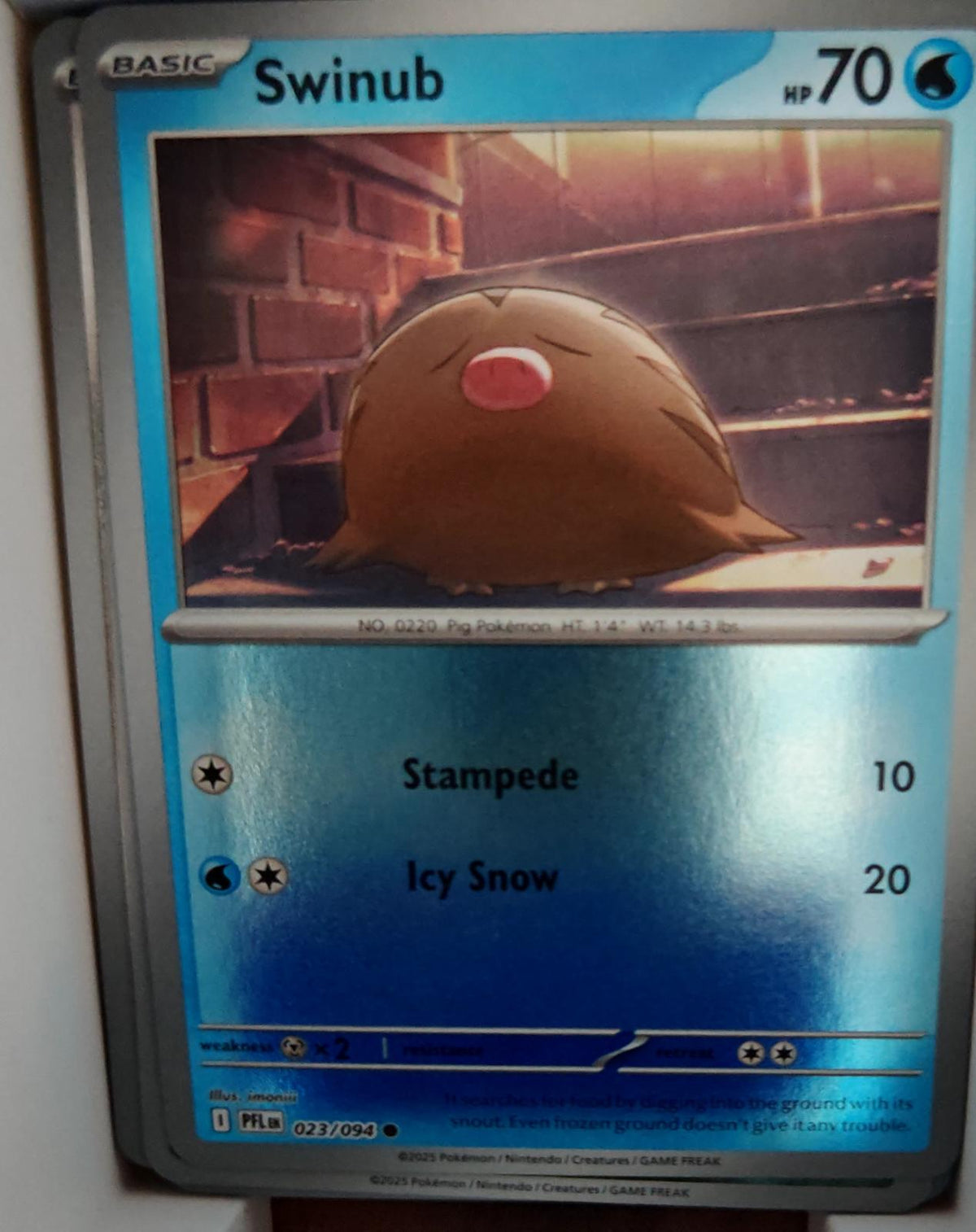 Swinub - 023/094 - Reverse Holo - PHANTASMAL FLAMES - Pokemon - Common | AA56-31