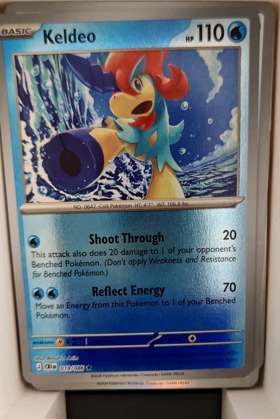 Keldeo - 019/086 - Holo - CHAOS RISING - Pokemon - Rare | AA24-22