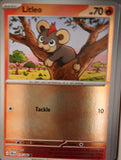 Litleo - 014/086 - Reverse Holo - CHAOS RISING - Pokemon - Common | AA31-51